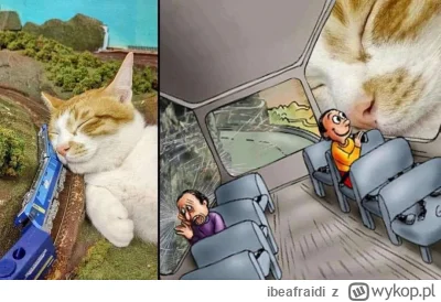 ibeafraidi - #memy #koty