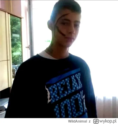 WildAnimal - Hej,

Jak myślicie co słychać u Karola?

#humorobrazkowy #heheszki #nost...