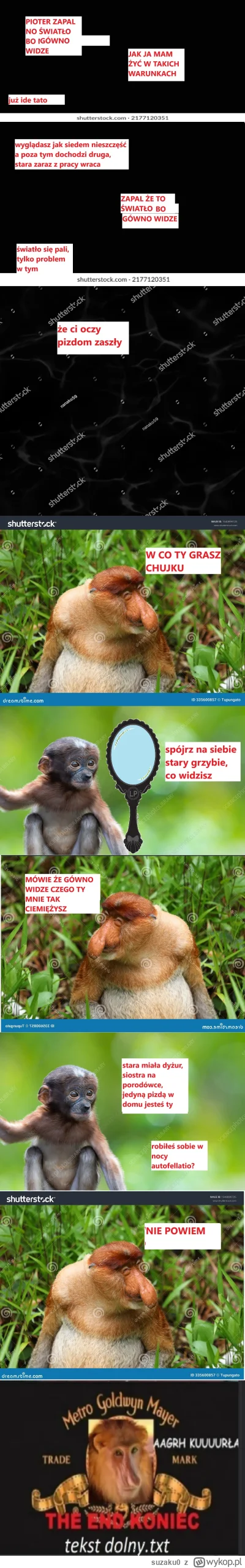 suzaku0 - #konkursnanajbardziejgownianymemznosaczem