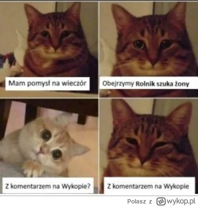 Polasz - #rolnikszukazony