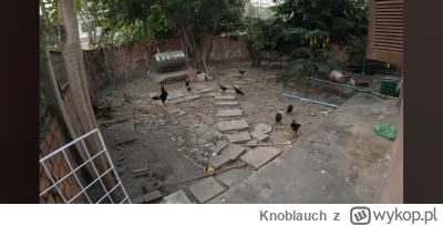 Knoblauch - #raportzpanstwasrodka 
Jeszcze tam tylko nasrać, a przepraszam nasrane to...