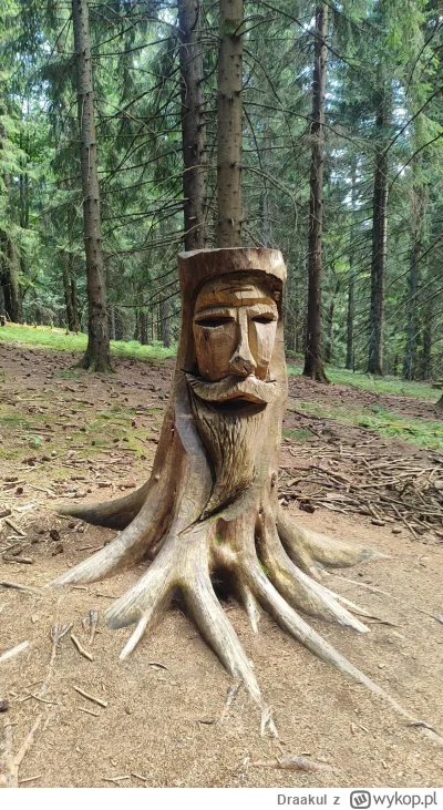 Draakul - 350 854,1 - 5,0 - 5,5 - 8,0 - 4,1 - 3,9 - 3,7 - 3,3 - 5,0 - 4,1 - 6,3 - 6,9...