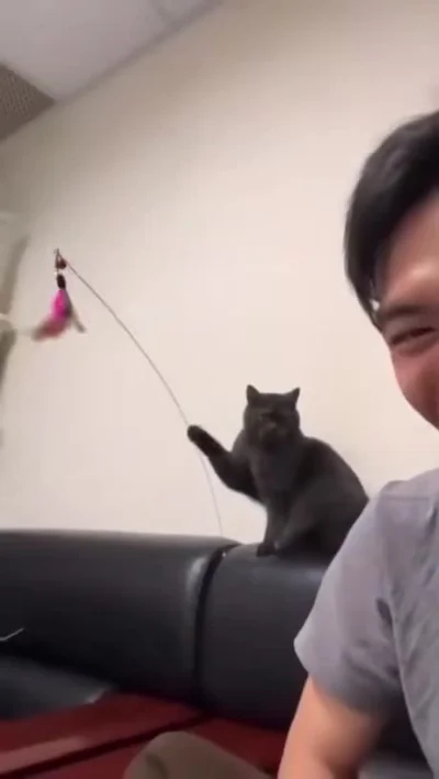 Atreyu - Jak bawić się ze swoim człowiekiem. Poradnik dla kota

#koty #kitku #ciekawo...