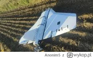 Anonim5 - #przegryw czy boicie się że rosyjski dron może uderzyć w waszą piwnicę? #po...