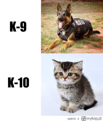 spere - #humorobrazkowy #smiesznypiesek #koty