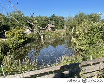 Letheo - #podrozujzwykopem  nie wiem co to dokładnie, ale wyglądało jak mini wioseczk...