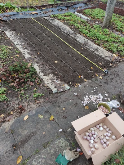 Krupier - @johnblaze12345: wcześniej się jeszcze w sznureczki bawiłem, ale teraz już ...