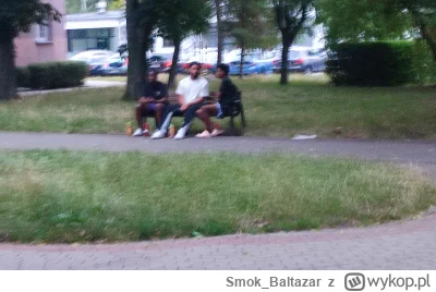 Smok_Baltazar - #przypadkowymurzyn 

Skąd oni się biorą? Ostatnio wyrastają jak piecz...