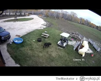 TheMaskator - @RobieZdrowaZupke: Nie byłbym taki pewien