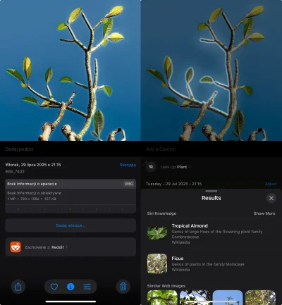 Korda - @Korda: Podobnie w aplikacji Zdjęcia. Po lewej po polsku (podstawowe dane EXI...