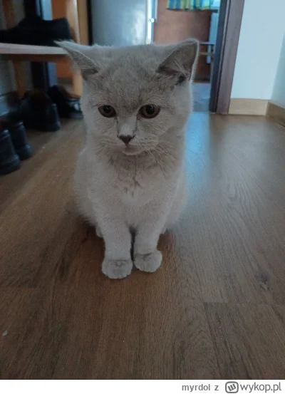 myrdol - Moj maly bączek,walczę o typka bo ma Fipa