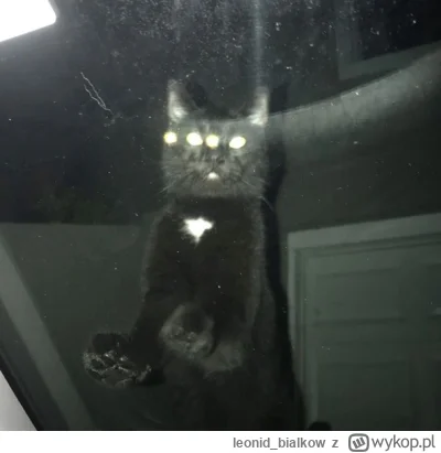 leonid_bialkow - MDLONCA WOŃ MARTWEJ IZBY BIJE ZŁEM