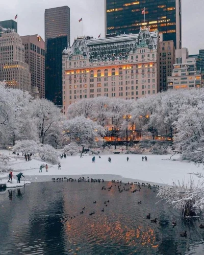 BozenaMal - Zima w Nowym Jorku
#nowyjork #zima #fotografia