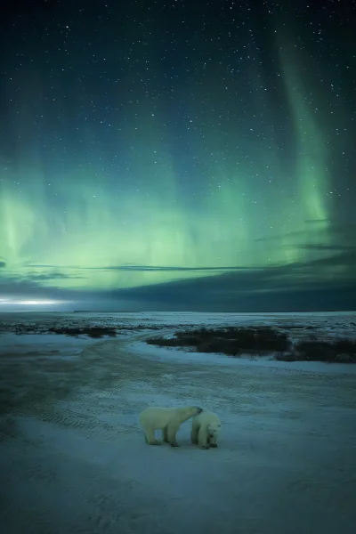 dodi-lukebakio - #f1 #codziennyolliebearman

Podobny vibe :)