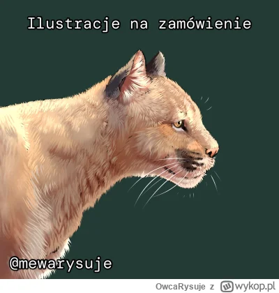 OwcaRysuje - Rysunek pumy narysowany na zamówienie, chętnie wykonam ponownie takie za...