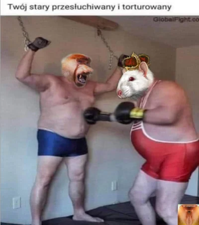 T.....Y - #konkursnanajbardziejgownianymemznosaczem wiem ze bylo ale pjoter nie widzi...