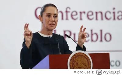 Micro-Jet - "propozycja"
#usa #meksyk #trump