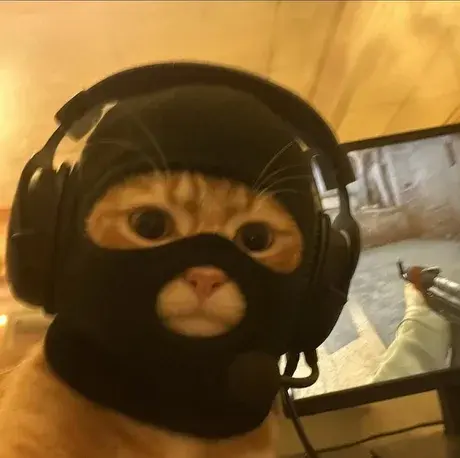 Foxbat - #zlodziejskiewybryki