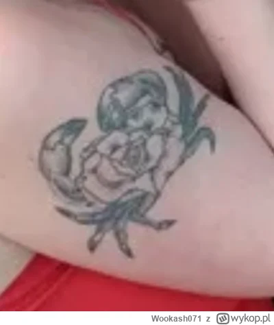 Wookash071 - Czemu one robią tatuaże które wyglądają jak krab z kapusta na grzbiecie?...