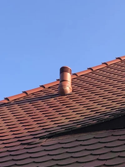 dorodny-agrest - @Rasteris @10129 @Rasteris @erhh1992 @erhh1992 miejsce gniazda