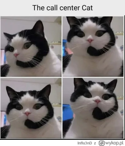 Influ3nD - #humorobrazkowy #koty #kitku