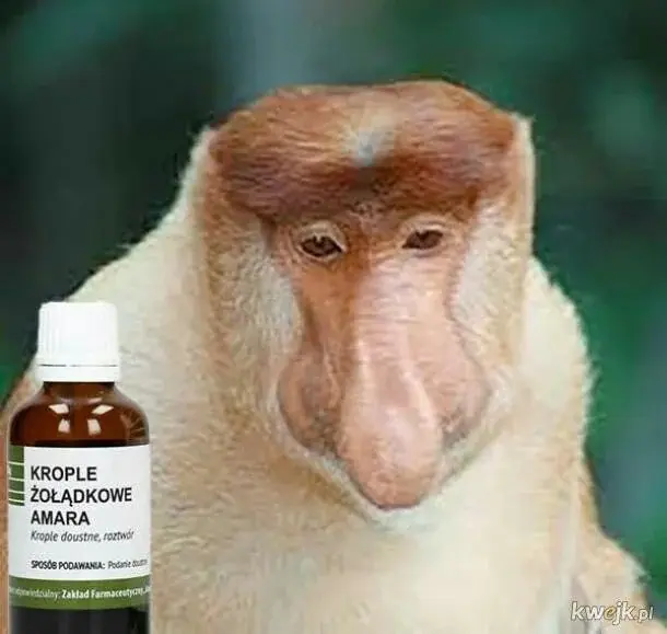 wonsz337 - @JanNaj358: stary za 2 godziny