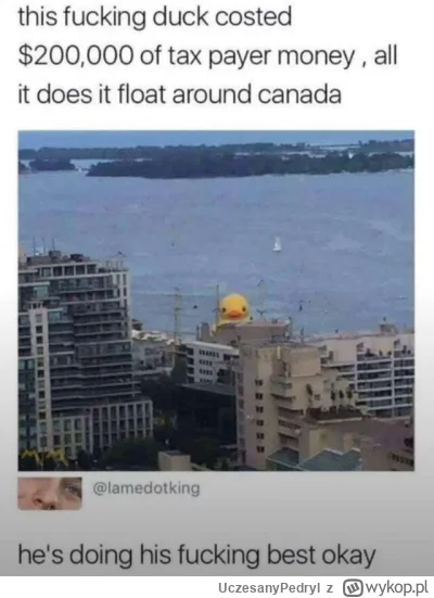 UczesanyPedryl - #heheszki