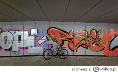 radmen2 - 650 295 + 68 + 23 + 22 + 77 + 27 + 25 + 7 + 80 + 22 = 650 646

Listopadowo-...