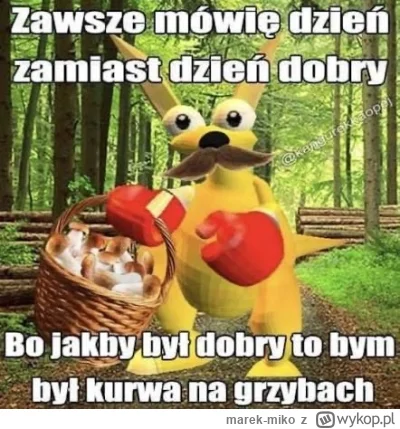 marek-miko - #grzyby ehhh