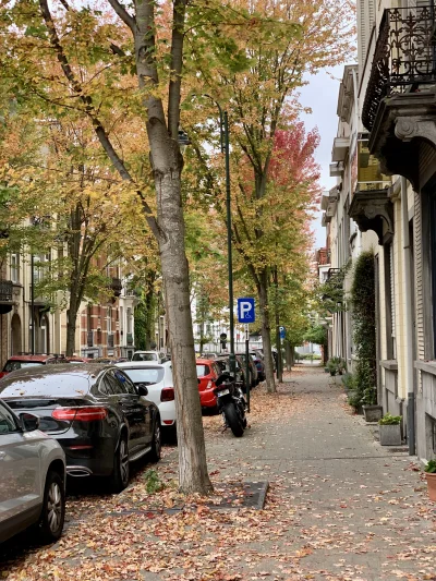 lvbie_placki - Ciepła jesień se jest na zachodzie, ciągle po 16/17 stopni 
Tylko minu...