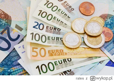 rales - Czy jesteś za wprowadzeniem waluty EURO w Polsce w przeciągu kilku najbliższy...