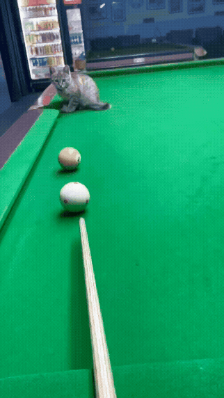 jestemtakizmeczony - @jestemtakizmeczony: