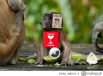 zloty_wkret - #konkursnanajbardziejgownianymemznosaczem 
Sprzedałem Pjotera. W Pjoter...