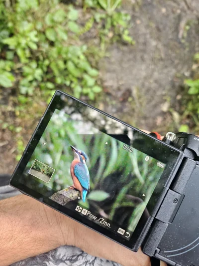 witajswiecie - s-----l wciąż pozostaje nieuchwytny

a w każdym razie wystarczająco bl...