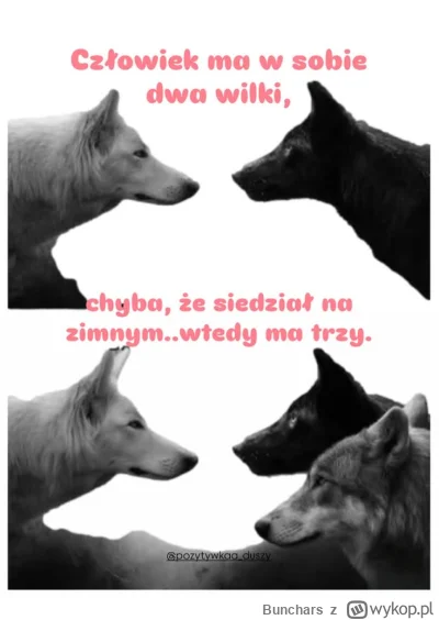 Bunchars - @wybryk_natury: