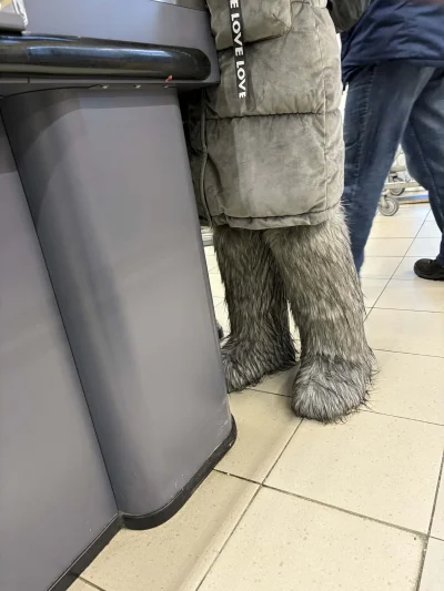 goferek - Uwaga, śnieżny koczkodan grasuje w okolicy. Wyciągajcie oscypki.
#krakow