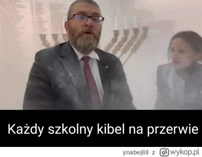 ynabej88 - #sejm