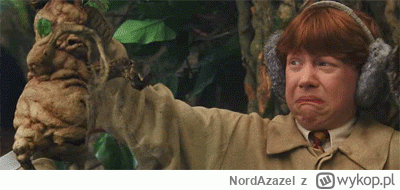 NordAzazel - @asdfghjkl: zawsze mi się będzie tak kojarzyć ( ͡° ͜ʖ ͡°)