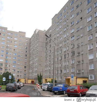 Izumi - Socrealistyczna forma budownictwa mieszkaniowego jest najbardziej przyjazna d...