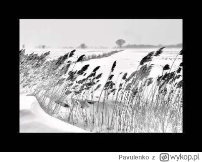 Pavulenko - @Pavulenko: