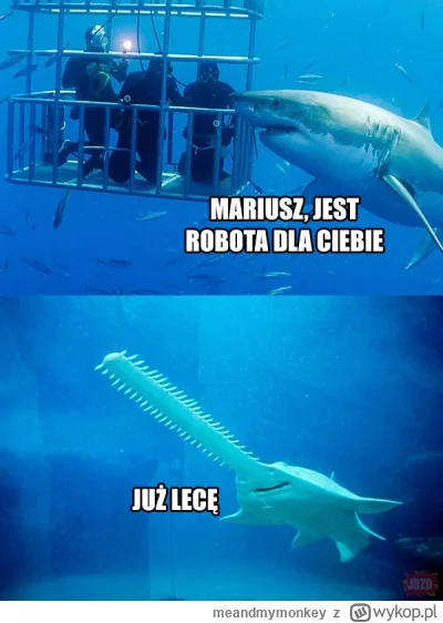 meandmymonkey - @Zwierz33: a tu mem ogólny