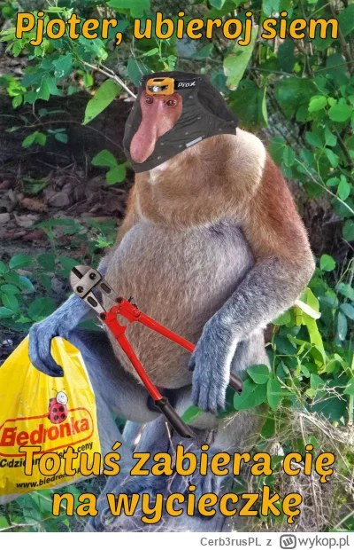 Cerb3rusPL - #konkursnanajbardziejgownianymemznosaczem 

Pjoterku, mówiłeś, że kcesz ...