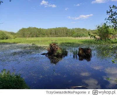 TrzyGwiazdkiNaPagonie - Trzy lata na wypoku, na tagu mi minęły, to będzie mój 999 wpi...