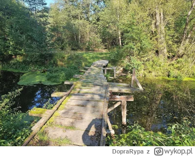 DopraRypa - 321 526 + 39 + 61 + 89 + 212 = 321 927

Trochę nowych kwadratów wpadło.
...