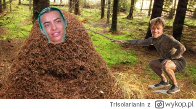 Trisolarianin - #hotelparadise