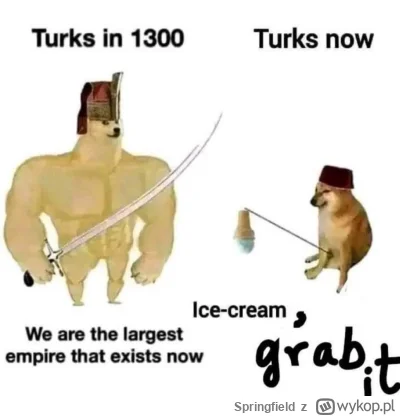 Springfield - #heheszki