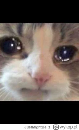 JustMightBe - @wykop co wyście  uczynili najlepszego (╥﹏╥) +21 wam w głowach miesza (...