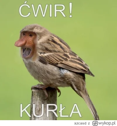 xzcasd - @pioter_ciemiezca