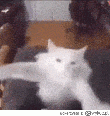 K.....a - Wspaniały to był mecz, nie zapomnę go nigdy... Iga i Kawa dzisiaj przepiękn...