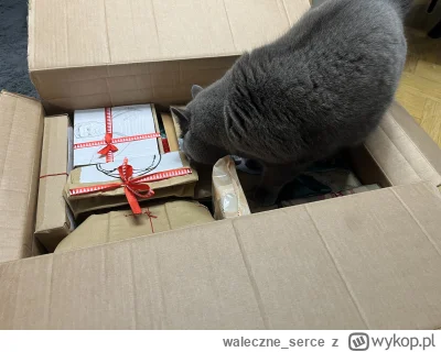 waleczne_serce - @Dorciqch: jak już wlazł to nie wylazł, musieliśmy odwracać jego uwa...